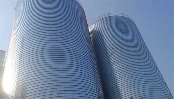 嫩江2座混凝土高架卷板仓